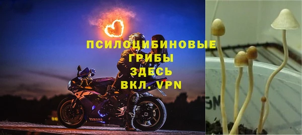 ешки Михайловка