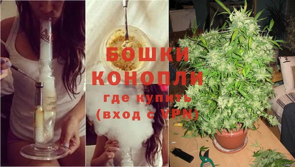 тгк Михайловск