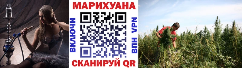 Конопля планчик  купить наркотики цена  Туран 